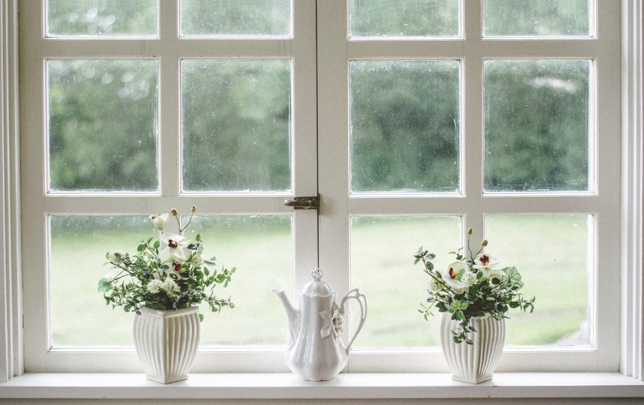 Focusing on Peace in Your Divorce This is an image of two plants on a windowsill, with a white teapot between them.