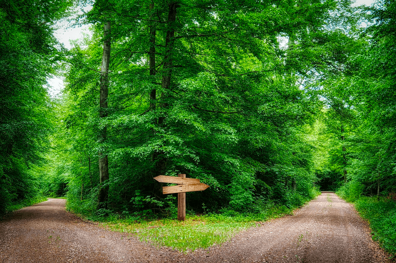 Two separate paths with signs pointing in either direction