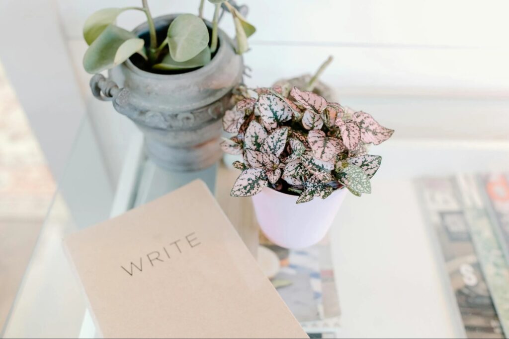 Make a Plan During Trial Separation This is an image of a notebook and some plants on a glass table.